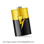 Strengthen your Team as you strengthen your body